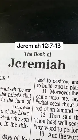 #TheLordJesusChrist #Messiah #GospelKJV #ScriptureReadingFYP #Master 