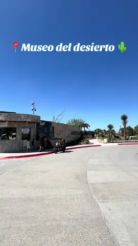 Primera vez en el museo del desierto y la neta 10/10✨