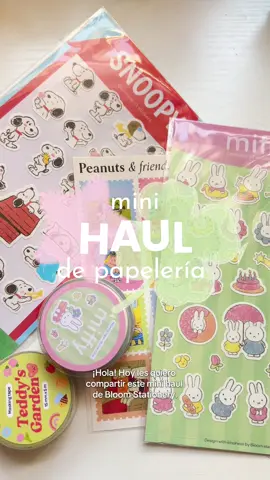 Haul de algunas cositas de papelería que compré el fin de semana 🤍 todo en el video lo encuentran en @Bloom Stationery  #journaling #papeleriabonita #haul #stationery #stickers 