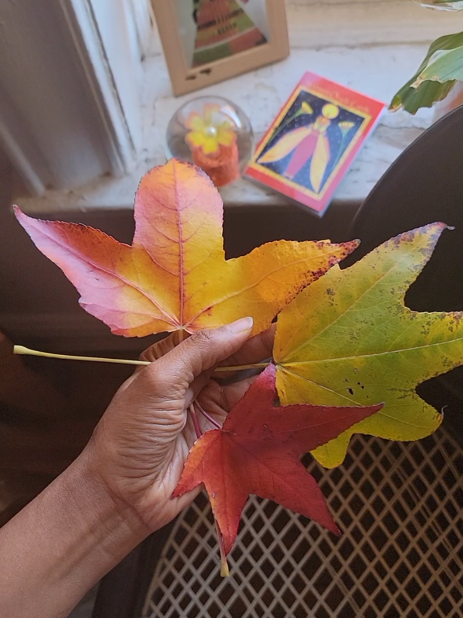 Creating Art with nature is fun,easy & beautiful! #fallart #leafart #blackwomanart #nature #autumnart 