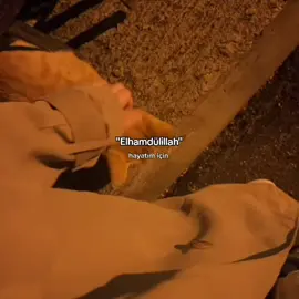 🤍 #islamic_video #muslimtiktok #elhamdülillah #Allah 