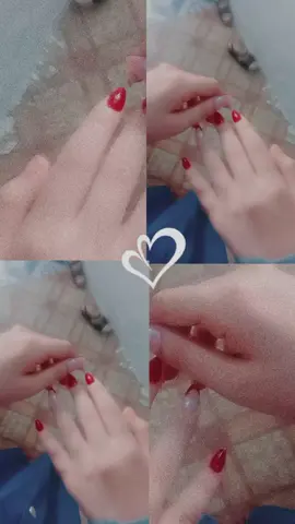 حبيبت كلبي Z,R