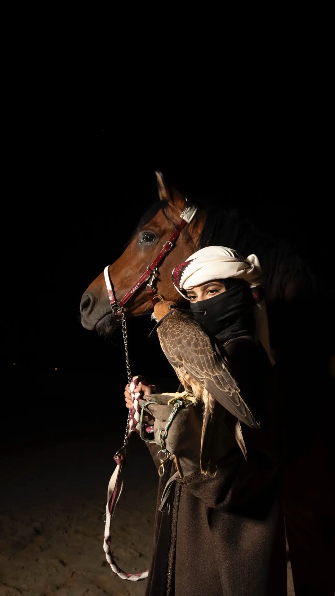 #عز_الشقب #صقر #ابها #fyp #اكسبلورexplore 