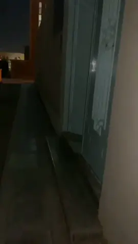 لقيت الباب مفتوح ودخلت لقيت واحد جالس الساعه 11:30#الشعب_الصيني_ماله_حل😂😂 #fyp #اكسبلور 