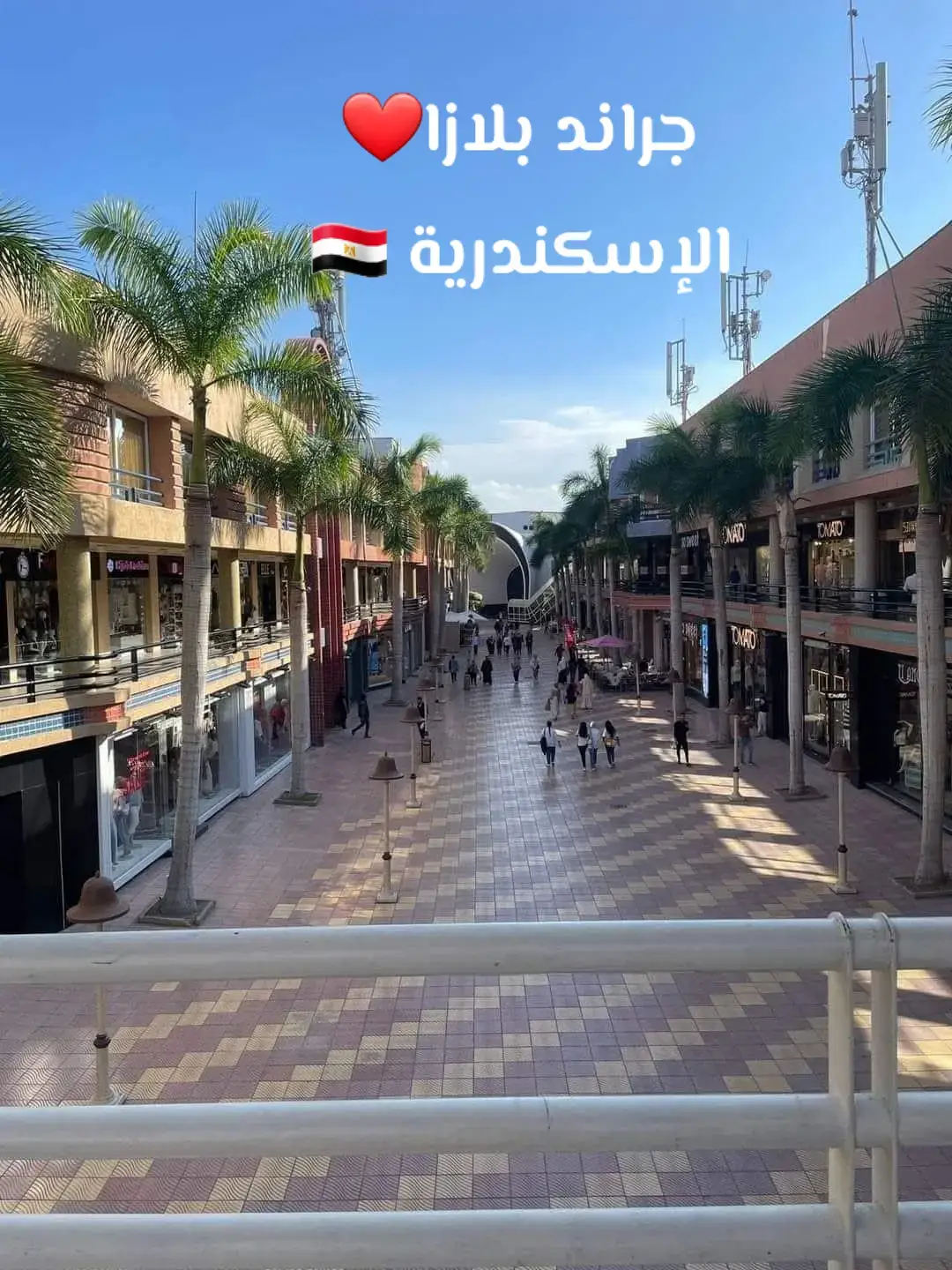 موش تكبر لاكن رانا😌✋🏻الخيره والعين المليانه #جراند_بلازا🇪🇬 مصر...ليبيا❤️