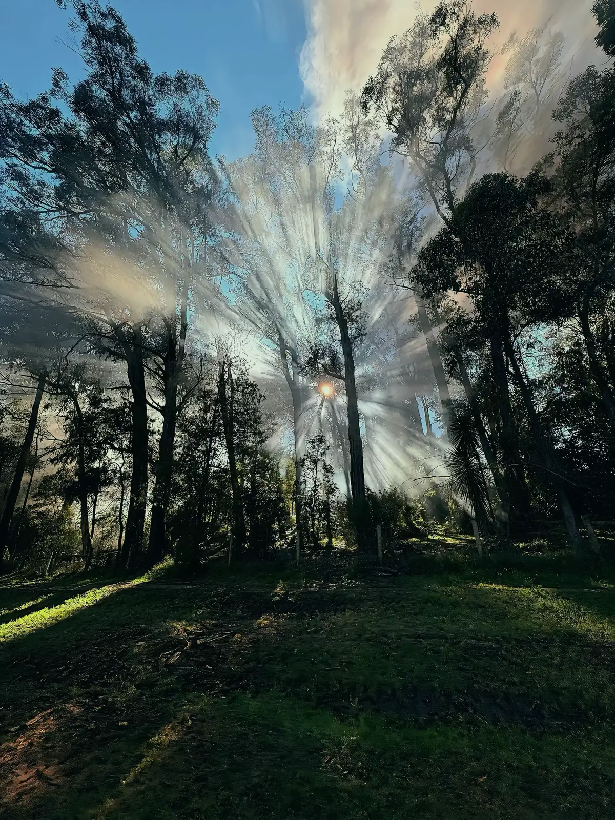 𝙘𝙤́ 𝙡𝙚̃ 𝙣𝙜𝙖𝙮 𝙩𝙪̛̀ 𝙡𝙪́𝙘 𝙙𝙖̂̀𝙪 𝙘𝙝𝙪́𝙣𝙜 𝙩𝙖 𝙠𝙝𝙤̂𝙣𝙜 𝙣𝙚̂𝙣 𝙜𝙖̣̆𝙥 𝙣𝙝𝙖𝙪. Chúng ta đã từng là tất cả của nhau, từng là tin nhắn đầu tiên vào buổi sáng, là đoạn tin nhắn cuối cùng trước khi chìm vào giấc ngủ.  Chúng ta đã từng hứa hẹn, từng vẽ ra viễn cảnh tương lai có nhau, từng nghĩ chẳng có gì có thể chia cắt được tình yêu này. Thế nhưng, tình yêu, dù đẹp đến mấy, cũng không chống lại được hiện thực. Có lẽ chúng ta đã gặp nhau vào một thời điểm chưa đúng. Hoặc cũng có thế, chúng ta yêu chưa đủ trưởng thành để gìn giữ nhau giữa những lần giận hờn, những hiểu lầm không tên, và khoảng cách vô hình cứ ngày một lớn dần. Chúng ta dần thay đổi, dần xa lạ ngay trong chính mối quan hệ từng rất thân quen. Những cuộc trò chuyện thưa dần, những lần im lặng nhiều hơn là quan tâm. Rồi một ngày, không ai nói lời chia tay, nhưng cả hai đều hiểu, đã đến lúc phải dừng lại. Có những cuộc tình kết thúc không phải vì hết yêu, mà vì không còn đủ sức để ở lại. Không oán trách, không hối hận, chỉ còn những hoài niệm nhắc rằng đã từng có một người khiến tim mình rung động đến thế. Và rồi, sau tất cả những yêu thương từng cháy bỏng, sau bao lần vun vén và cả những lần lặng lẽ rơi nước mắt vì nhau. Cuối cùng, mình trả nhau về vị trí ban đầu vốn có em là em, anh là anh, hai người xa lạ từng đi qua cuộc đời nhau với tư cách là một mối tình dang dở. #fyp #? 