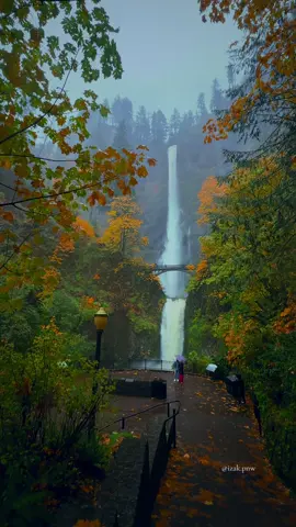 Multnomah Falls draped in autumn’s golden hues, where every leaf adds warmth to the mist. #waterfalls #pnw #pacificnorthwest #beautifuldestinations #multnomahfalls 