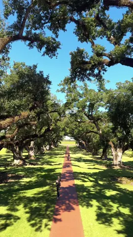 Welcome to #oakalleyplantation 📍 #oakalley #plantation #USHistory #neworleans 