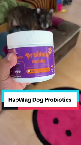 If you’ve got an older dog, try these out. Keeps their tummy happy and their tail wagging 🐶💜 #dogtreats #probioticfordogs #fyp #seniorpets #dogmultivitamin 