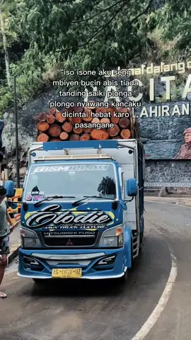 #fyppppppppppppppppppppppp #viralvideos #fypシ゚ #sengonbalap #viraltiktok 