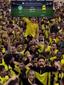 بحلم بيك انا بحلم بيك 🔥🐅💛 #كبير_اسيا_الاتحاد #جمهور_الاتحاد #المونديالي_الكبير #طحالب🐸 