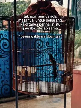 Masih proses #fyp  #muraibatu  #muraibatuindonesia  #kicaumania  #storykicaumania 