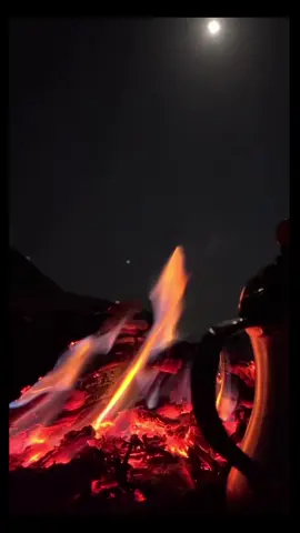 #جزل_القصيد_ 