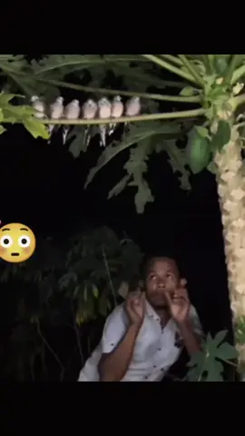 u be thief normally 😂 #comedy #gehgehmemes #goviral 