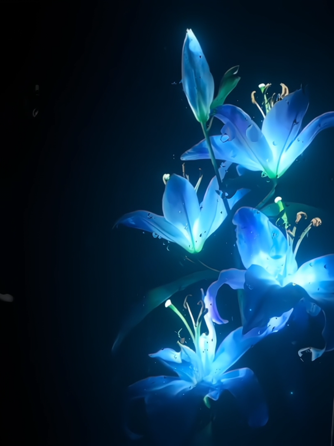 Bird's of a Feather. 🎧 ˙ . ꒷ 🪼 . 𖦹˙— #lyricsvideo #music #birdsofafeather #billieeilish #billie 