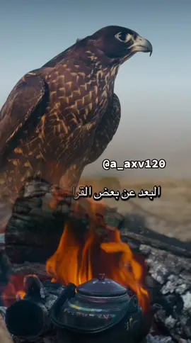 #أكسبلور_شعر_حكم_خواطر 