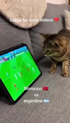 #фудбол #гол #є #голос 