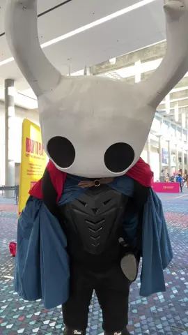It’s called FASHION STATEMENT #hollowknight #hornet #knight #hollowknightsilksong #dreamhack @Ribaibu Cosplay 