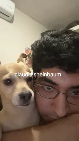 perro pendejo se enoja por decirle claudia sheinbaum#claudiasheimbaum #viral #foryoupage #pendejo #perro 