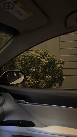 ✨انتَ ماتستاهل حتى السلاام | 1:50✨ #غرتك_الدنيا 