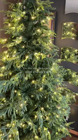 This Norfolk Pine Christmas Tree looks straight out of a holiday movie ✨🌲 #norfolkpinechristmastree #tiktokshopblackfriday #tiktokshopcybermonday #tiktokshopbfcm #tiktokshopcreatorpicks 