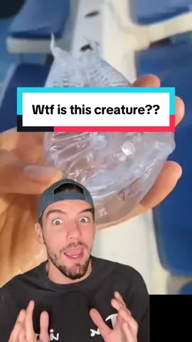 Straight up wtf does that look like to you?? #interesting #facts #salp 