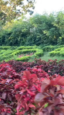 NV na ng?🥹❤️‍🔥 #foryou #Love 