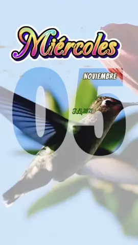 Buenos Días! 🌞 Feliz Miércoles ☀️☕️🤗 #buenosdias #buenosdiasmundo #bendecidodia #dios #lindodia         