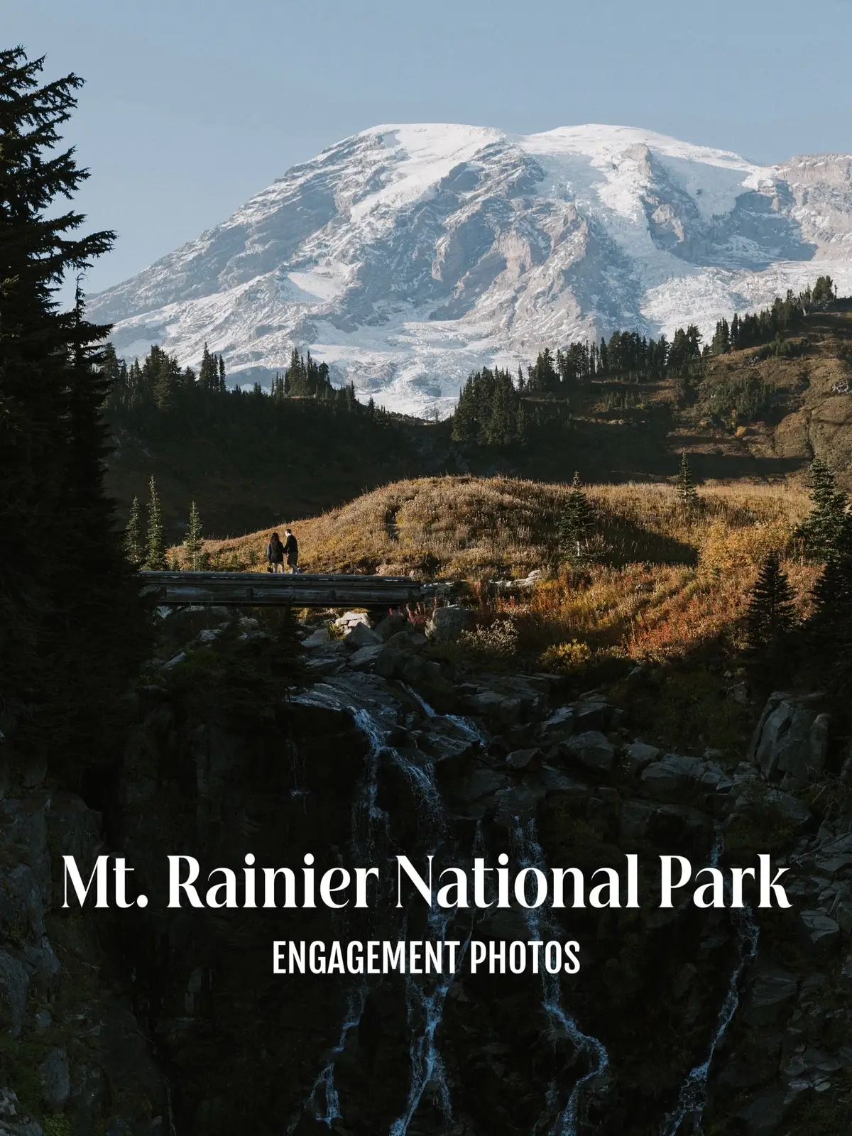 Engagement photos in Mt. Rainier National Park 🏔️ #mtrainier #mtrainiernationalpark #engagementphotos #seattlephotographer 