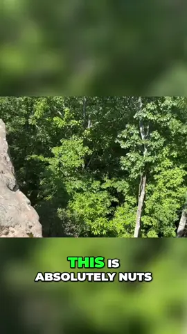 Windrock never disappoints 😤💨 this place is straight-up WILD! #WindrockPark #OffRoadLife #TrailRiding #4x4Nation #RhinoUSA