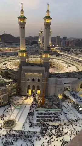 #creatorsearchinsights #تلاوة_خاشعة #محمد_الفقيه #الشيخ_محمد_الفقيه #القارئ_محمد_الفقيه #القرآن_الكريم_راحه_سمعك_القرآن💙🎧 #ارح_سمعك_بالقران #القرآن_الكريم #تلاوات #اليمن #المقام_الصنعاني #لا_اله_الا_الله #اللهم_صلي_وسلم_وبارك_علي_سيدنا_محمد 