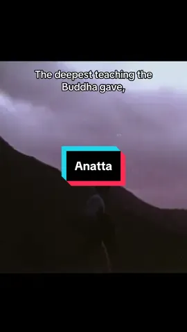 From Ram Dass’ Here & Now, episode 290– The Balance Between Emptiness and Compassion #beherenow #ramdass #spirituality #buddhism #philosophy 