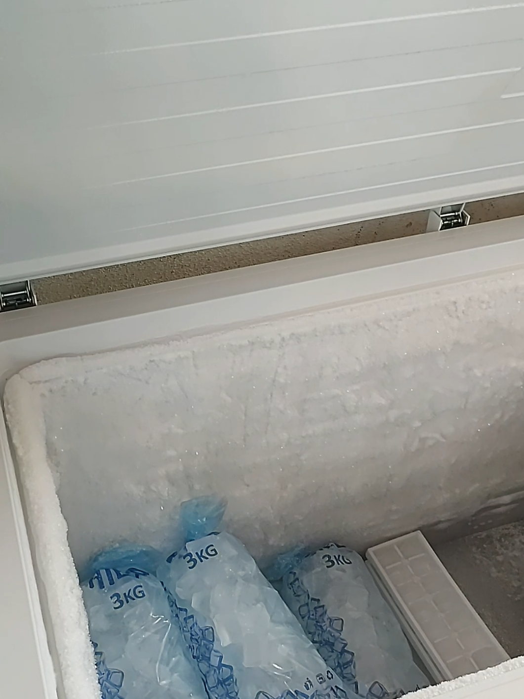 mi pequeño emprendimiento de hielo 🧊🧊🧊#paraty#hieloexpress