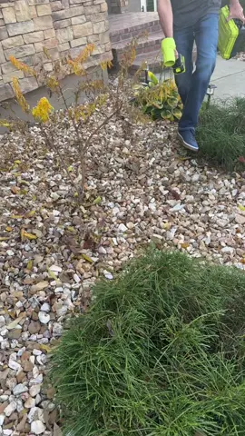 Very very powerful #mvc55 #leafblower #tiktokshopblackfriday #tiktokshopcybermonday #tools 