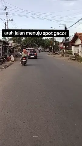 arah jalan menuju spot gacor #mancing #situbondo#spotgacor#tiktok