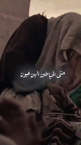 لاتخلون ام عون💔#سيد__العشق 