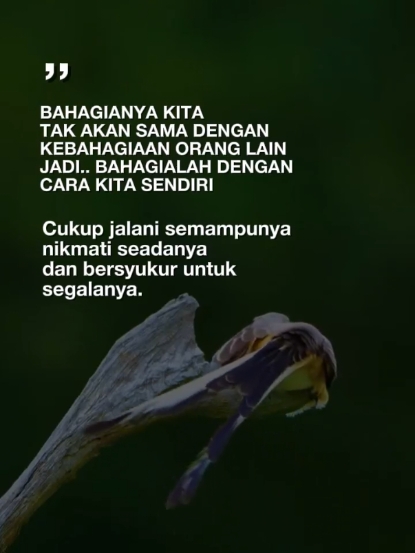 Qoutes motivasi  #nasehatdiri #reel#CapCut #motivasi #bismillah 
