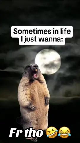 #duet with @Shannon♥️ #CapCut 