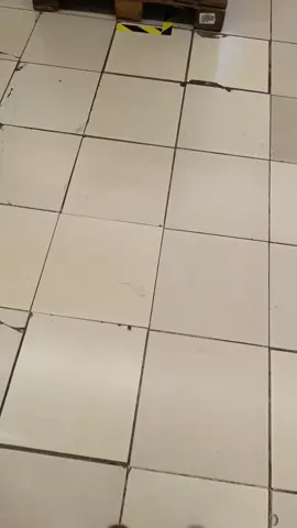 #thelegua #ydaleu #universitariodedeportes #paneton #trincheranorte @Freak @COLECTIVO WORLD @BARRA Ⓤ ORIENTE 1968 