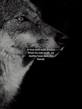 No pack. No fear. Just a path of my own. #motivation #mindset #nevergiveup #reality 