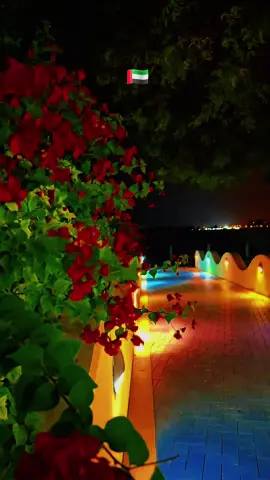 #ابوظهبي کورنیش شپې لید 🌃✨