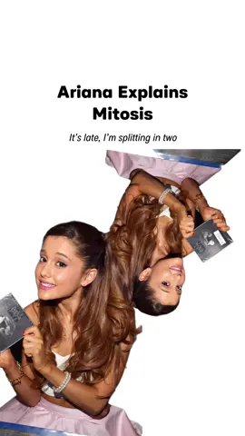 Ari-osis got everything splitting 😶‍🌫️🫠 #ariana #arianagrande #math #fyp 