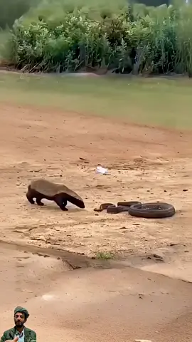 #شعب_الصيني_ماله_حل😂😂  #العراق_السعوديه_الاردن_الخليج 