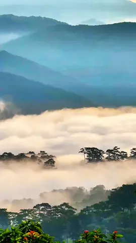 Anh gọi mãi tên em người ơi #nhachay #canhdep #tochucsukien #hongloan1991 