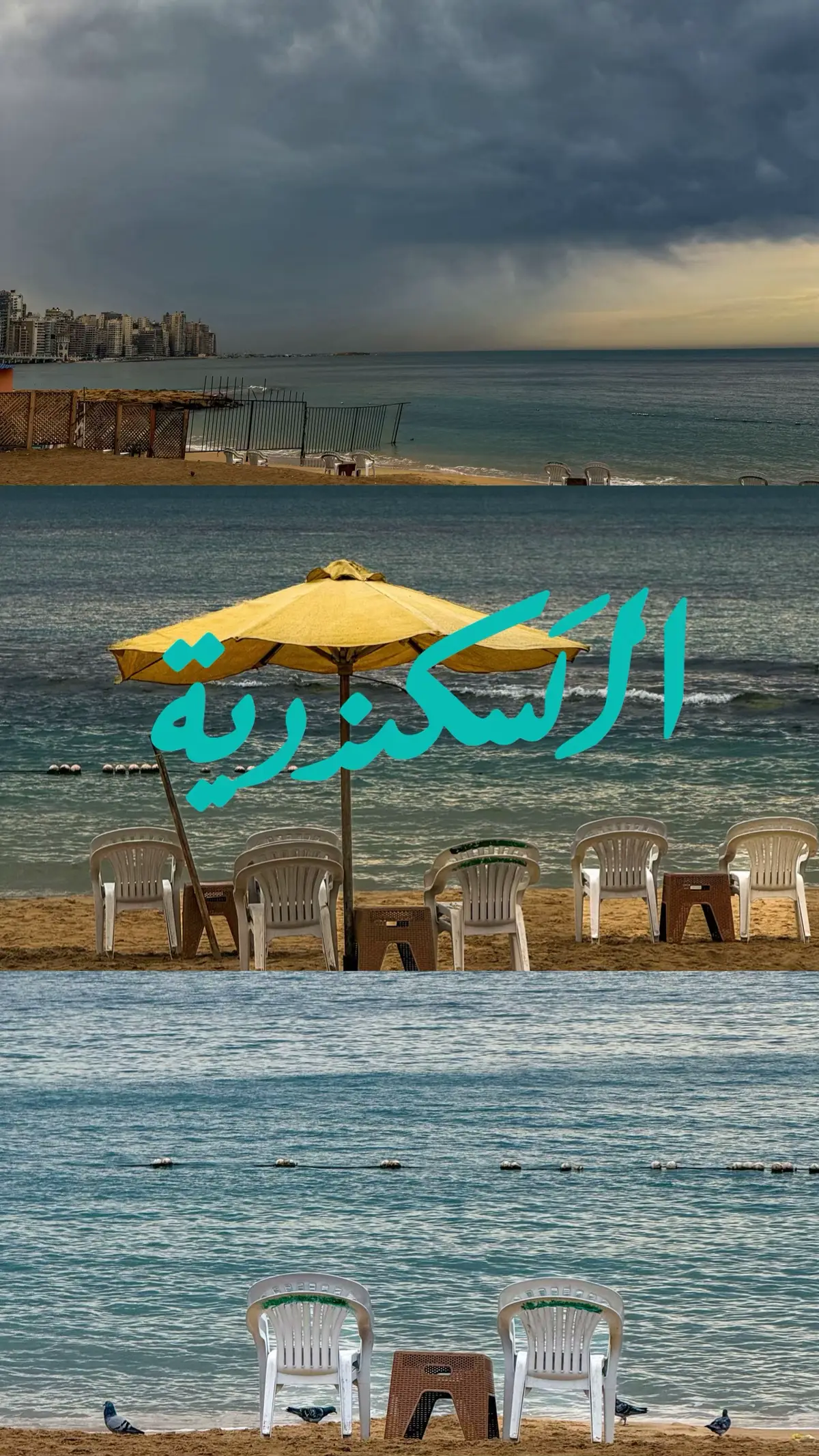 Alexandria ✨♥️ #alexandria #photography #photo #fyp #tranding 