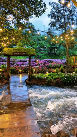 Cập Nhật địa điểm suối Bình Yên cho các bạn đây…. 📍 Suối Bình Yên  #dalat #loinhodalat #suoibinhyen 