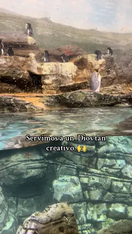 #fyp#Dios #ceeador #maravilloso #