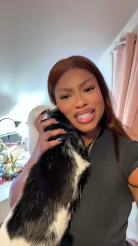 Me at home for absolutely no reason ah TALL 😅😂 #cats #funny 