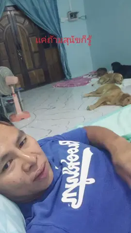 แค่ถามสุนัขผมก็รู้ภาษา