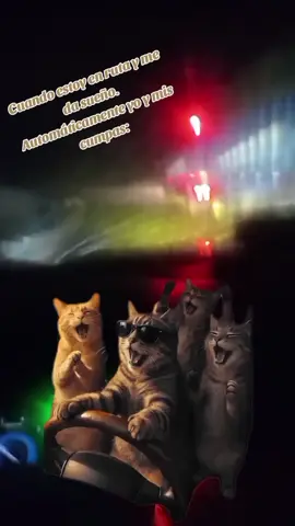 Cositas de la ruta 😂😂 #siguemeytesigo #viraltiktok #Autoservis #glory580 #Viajesenautos 